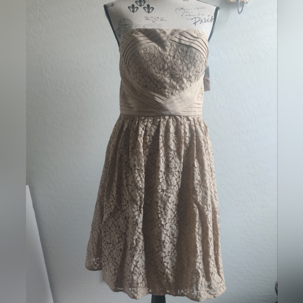 🆕 Vince Camuto Elegant fully Lace Strapless prom wedding guest mini Dress_10